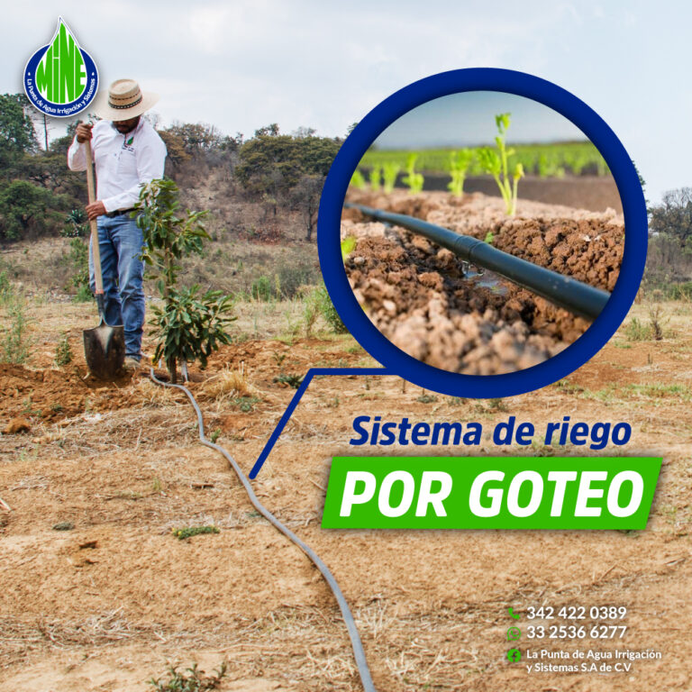 Riego Por Goteo Sistemas De Riego Sayula Jalisco